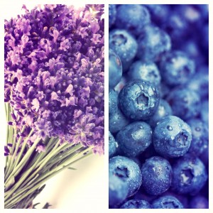 Blueberries & Lavender